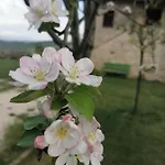 B&B Coldifiore