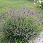 Coldifiore B&B Penna in Teverina