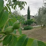 B&B Coldifiore 3*
