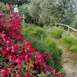 B&B Coldifiore Penna in Teverina