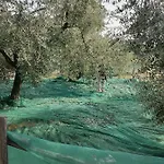 B&B Coldifiore Penna in Teverina
