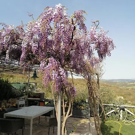 Coldifiore B&B 3*