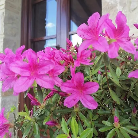 Bed & Breakfast Coldifiore