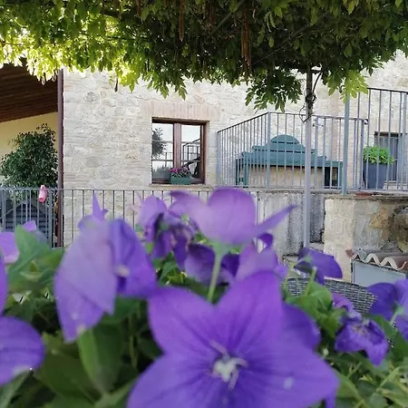 Coldifiore B&B Penna in Teverina