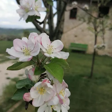 Bed & Breakfast Coldifiore