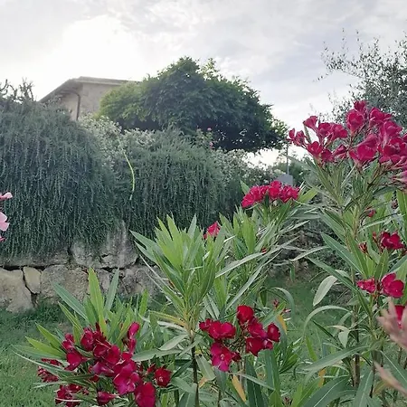 Bed & Breakfast Coldifiore