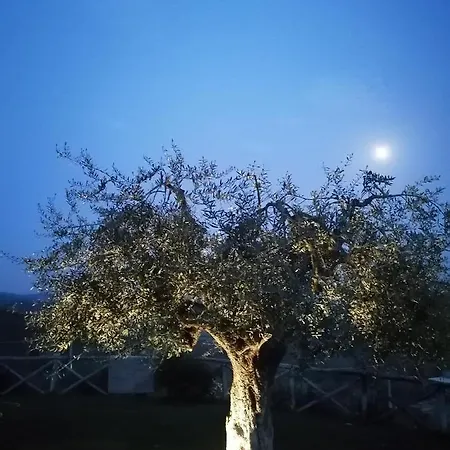 Coldifiore Penna in Teverina