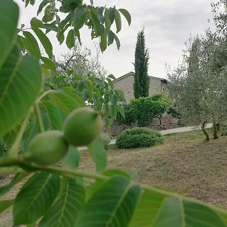 Bed & Breakfast Coldifiore 3*