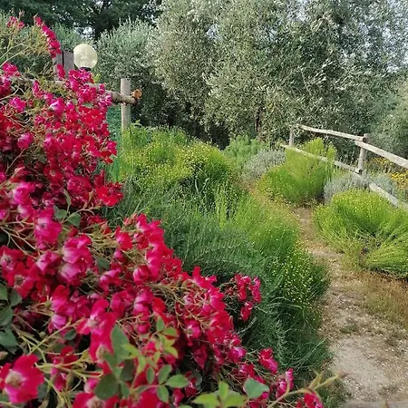 B&B Coldifiore Penna in Teverina