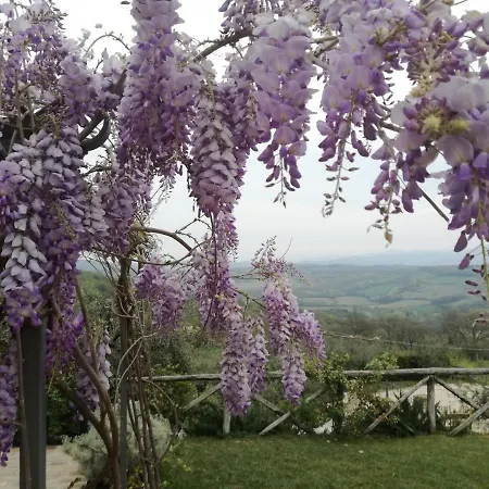 Coldifiore Bed and breakfast 3*