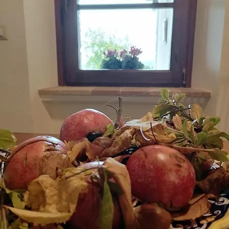 Bed & Breakfast Coldifiore 3*