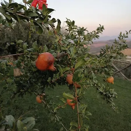 Bed and breakfast Coldifiore Penna in Teverina