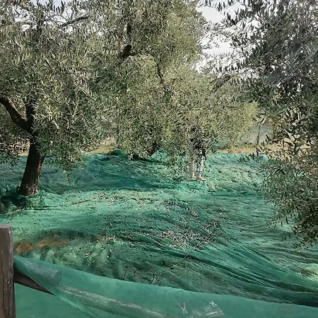 B&B Coldifiore Penna in Teverina