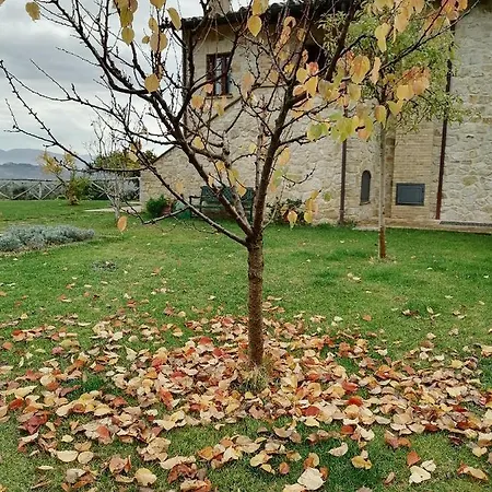 Bed & Breakfast Coldifiore Penna in Teverina