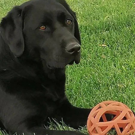 Coldifiore Penna in Teverina