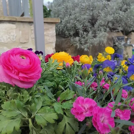 Bed & Breakfast Coldifiore Penna in Teverina