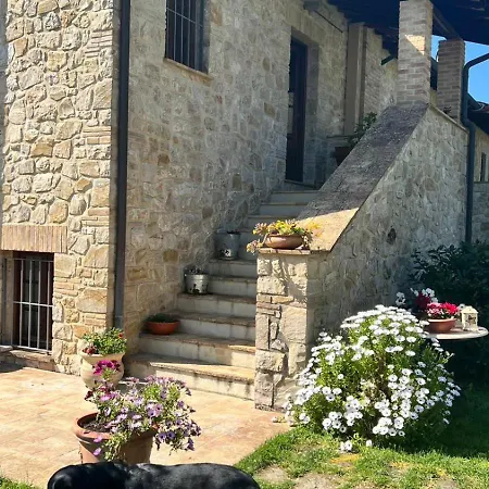 Coldifiore Bed & Breakfast Penna in Teverina