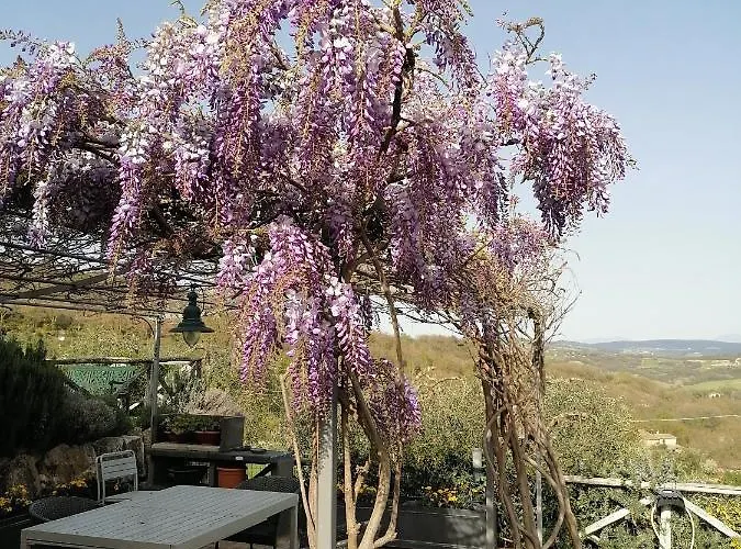 Coldifiore Bed & Breakfast 3*