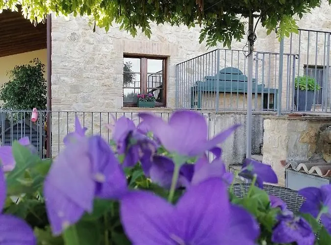 Coldifiore Bed & Breakfast Penna in Teverina