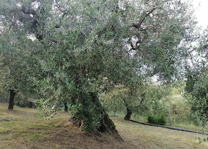 Coldifiore Penna in Teverina