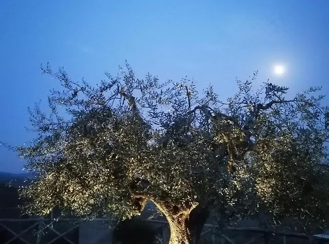 Coldifiore Penna in Teverina