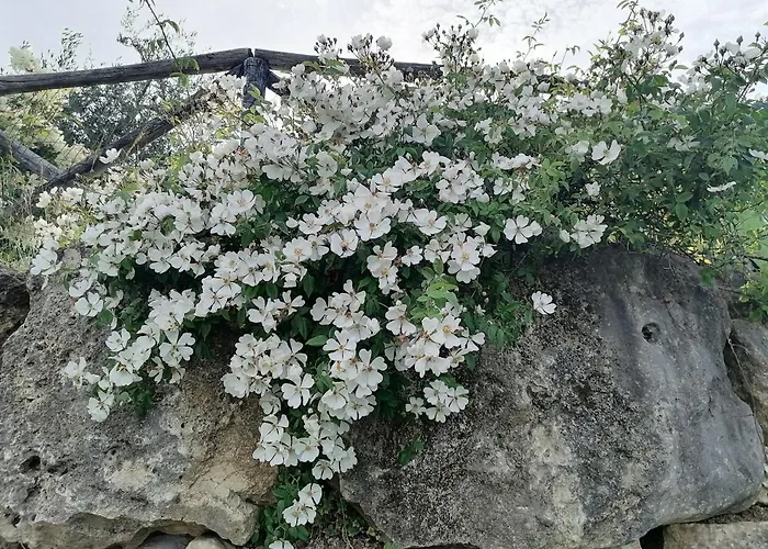 Coldifiore Penna in Teverina