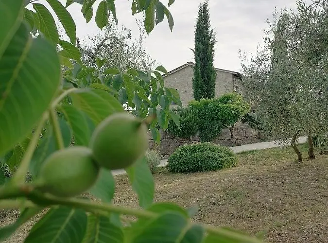 Bed & Breakfast Coldifiore 3*