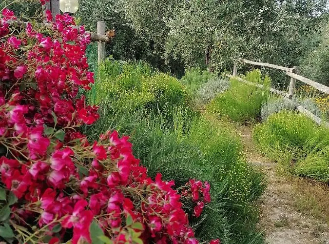 B&B Coldifiore Penna in Teverina