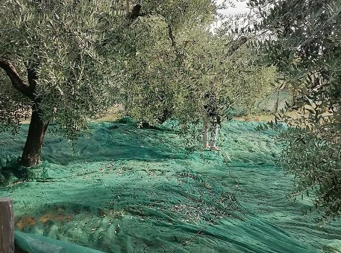 B&B Coldifiore Penna in Teverina