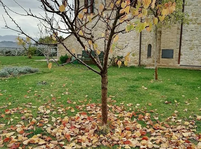 B&B Coldifiore Penna in Teverina