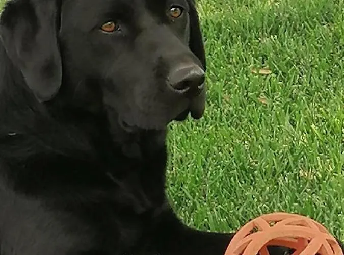 Coldifiore Penna in Teverina