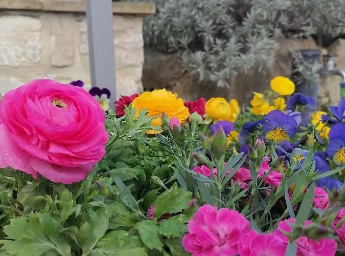 Bed & Breakfast Coldifiore Penna in Teverina